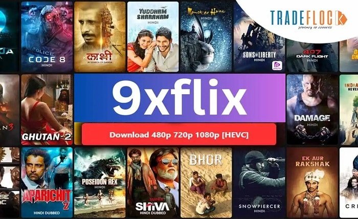 9x flix